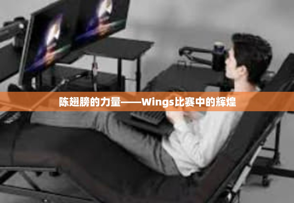 陈翅膀的力量——Wings比赛中的辉煌